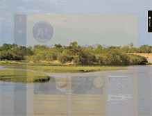 Tablet Screenshot of lionsoftanzaniasafaris.com